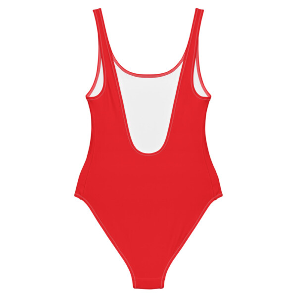 Colorao One-Piece Swimsuit - Image 2